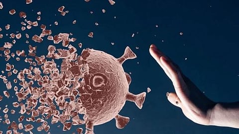 الإنفلونزا الموسمية وكورونا