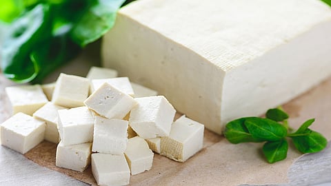 أضرار تناول الجبن بشكل يومي