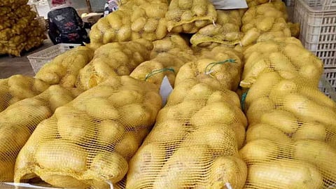 البطاطس في اليابان وعلاقتها بماكدونالدز