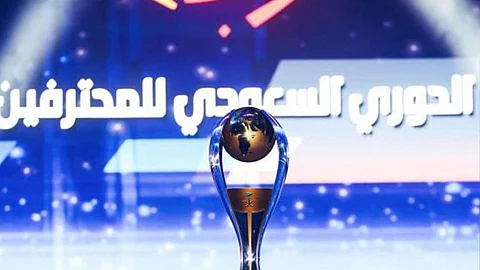 دوري المحترفين