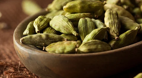 الحبهان الأسود