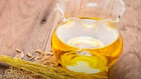 زيت نخالة الأرز
