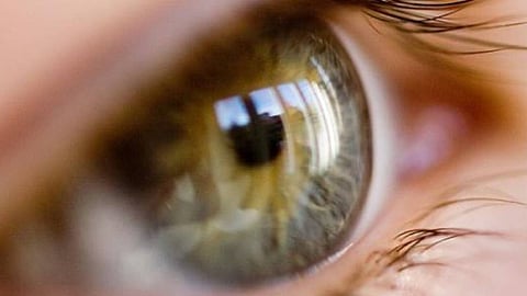 العشى الليلي ـ تعبيرية