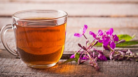 شاي الصفصاف