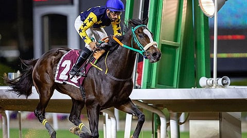 سباقات الخيل