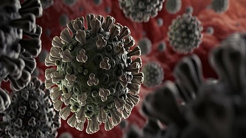 فيروس كورونا. (أرشيفية)