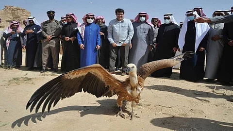 المركز الوطني لتنمية الحياة الفطرية