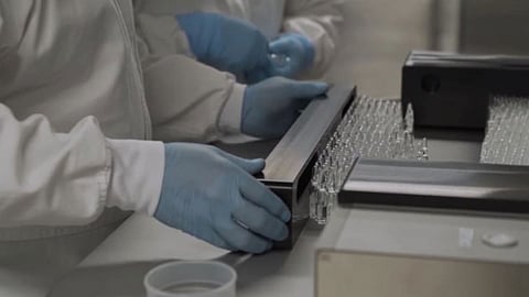 فيروس كورونا