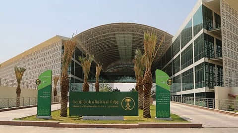 تدشين بوابة حصر الاستثمارات الزراعية في الخارج.. لها 7 أهداف