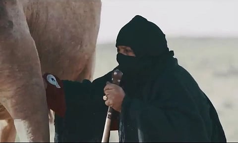 راعية الإبل الشهيرة شومة العنزي (أرشيفية)