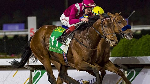 نادي سباقات الخيل