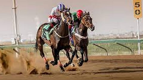 ميدان الملك سعود للفروسية