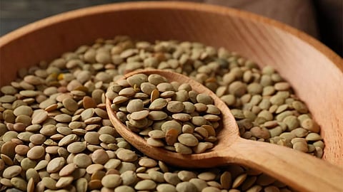 خبيرة تغذية: العدس مفيد للمصابين بالسكري وارتفاع ضغط الدم.. ومضر لهؤلاء