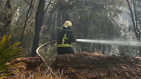 مدني دومة الجندل يسيطر على حريق مزارع
