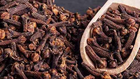 نبات القرنفل