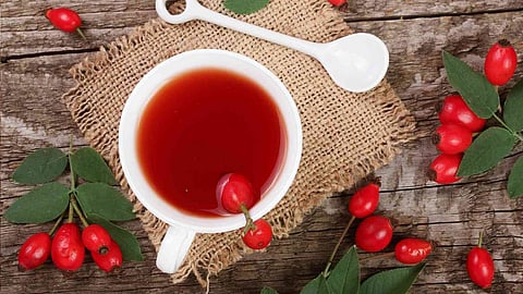 ثمر شاي الورد