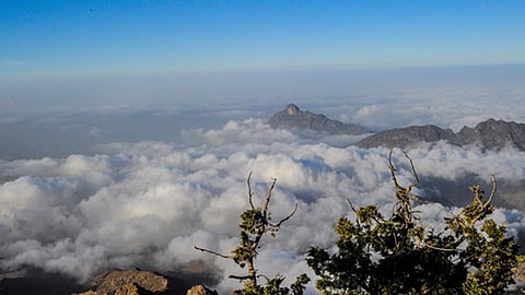 مدينة الضباب