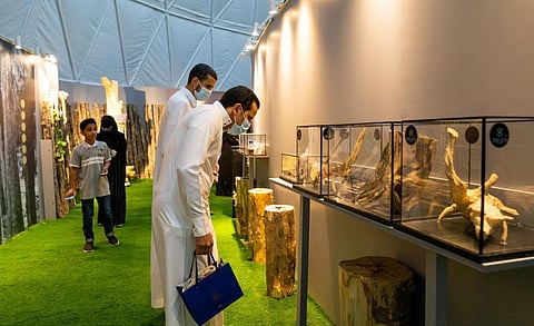 زوار معرض دلني على الطيب