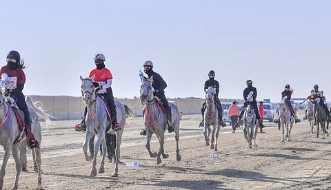 الاتحاد السعودي للفروسية