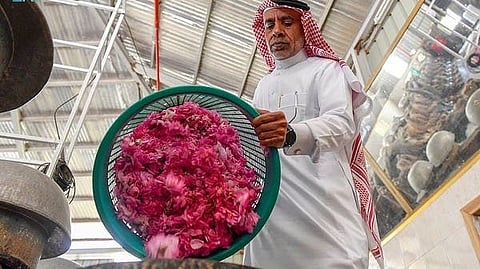 الورد بالطائف