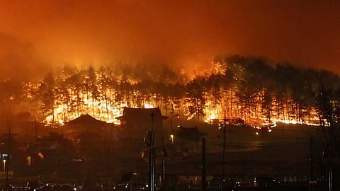 حرائق ضخمة بكوريا الجنوبية (أرشيفية)