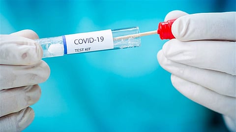 التعافي من كورونا بالمملكة