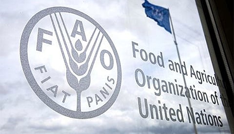منظمة الأغذية والزراعة التابعة للأمم المتحدة «الفاو»