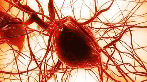 خلايا جذعية