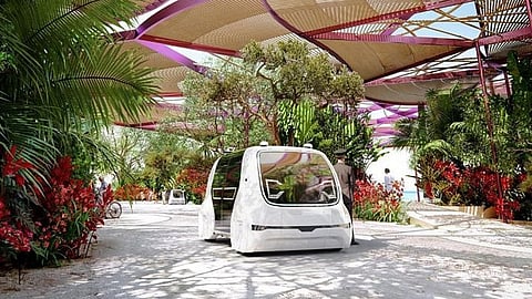 شركة البحر الأحمر للتطوير