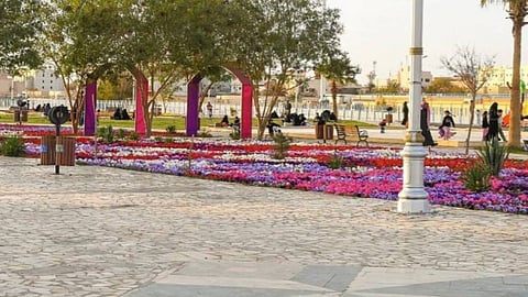 مضامير للمشي