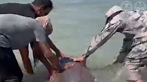 قوات حرس الحدود