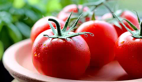 أكلات غير مسموح بتجميدها في الفريزر