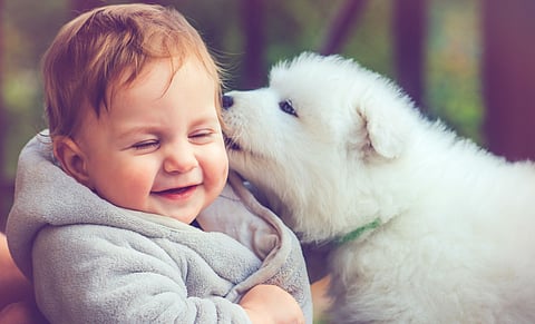 نمو الأطفال مع وجود كلب