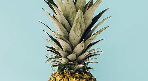 أوراق الأناناس