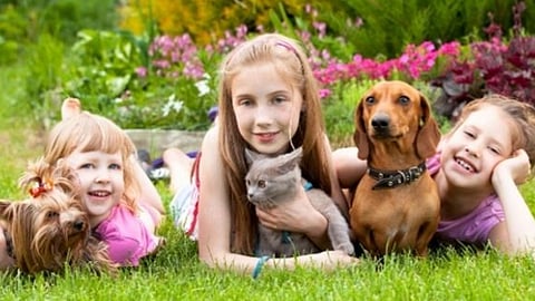 تربية الحيوانات مع الأطفال