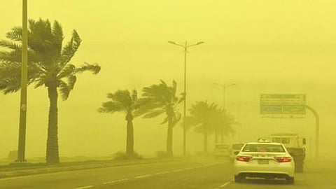 الغبار الزهري