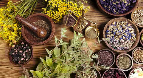 التأثير الصحي للأعشاب