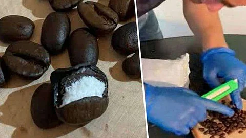 كوكايين داخل شحنة قهوة