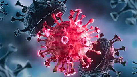 سلالة كورونا