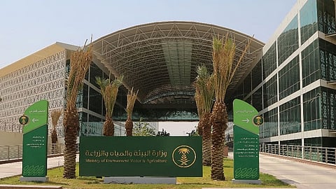 وزارة البيئة والمياه والزراعة والمياه