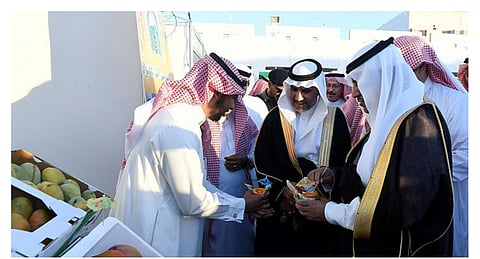 محافظ أملج يفتتح مهرجان المانجو الأول