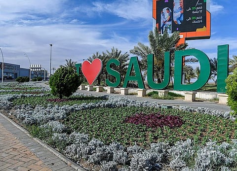 زهور مدينة تبوك