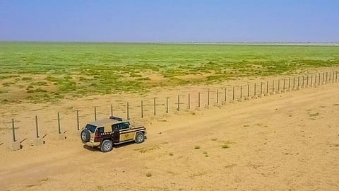 القواتُ الخاصةُ للأمن البيئي