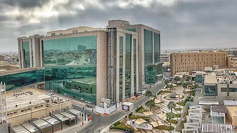 العمود الفقري