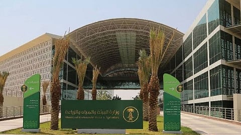 وزارة البيئة