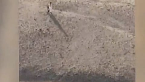 مفقودين الأفلاج