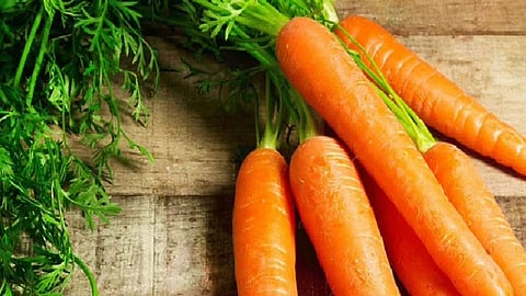 الجزر والنظر