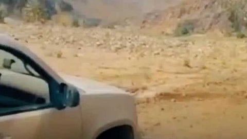 إنقاذ ٣ شباب في جازان