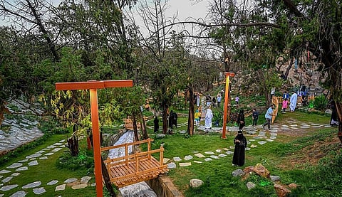 حديثة اللافندر