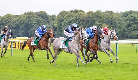 الفرس «إكليل عذبة» تفوز بشوط الجياد العربية الأصيلة في المملكة المتحدة